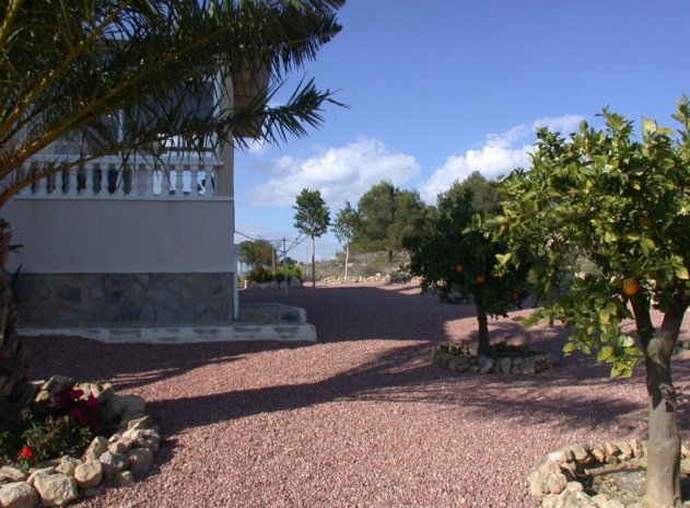 Wiederverkauf - Finca / Country Property - Almoradí