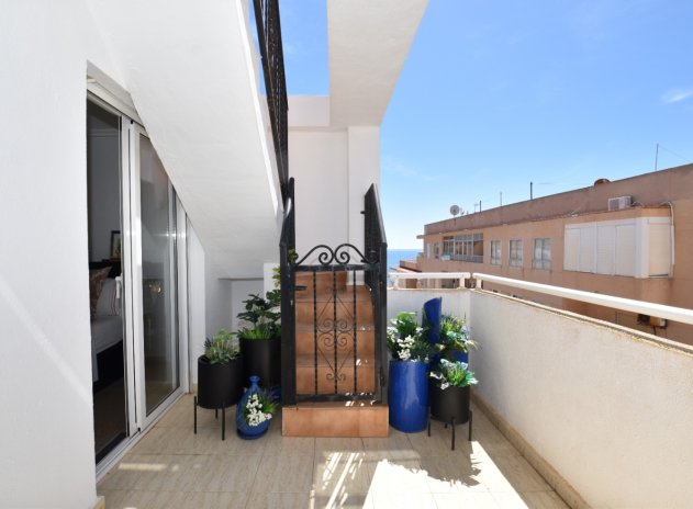 Wiederverkauf - Penthouse - La Mata