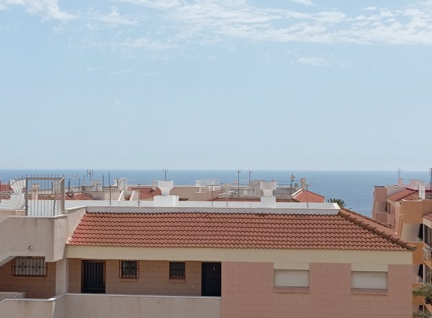 Wiederverkauf - Wohnung - Orihuela Costa* - Mil Palmeras*