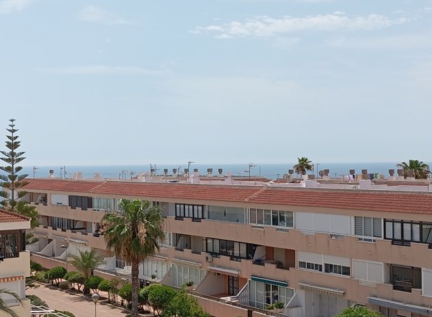 Wiederverkauf - Wohnung - Orihuela Costa* - Mil Palmeras*