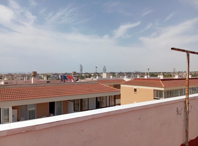 Wiederverkauf - Wohnung - Orihuela Costa* - Mil Palmeras*