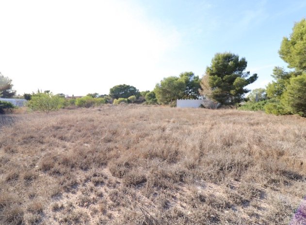 Wiederverkauf - Plot - Orihuela Costa - Lomas de Cabo Roig