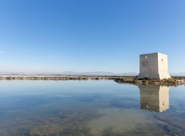 Obra nueva - Ático - Santa Pola - Eroski